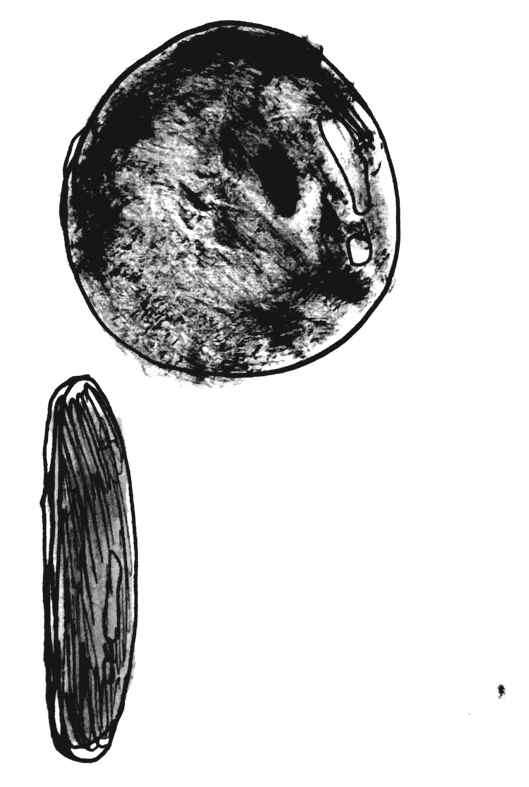 An ACME portal shown twice — face-on as a dark smoky disc, and in profile as a thin sliver, since a hole has no thickness — pen and ink drawing